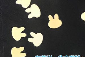 PET卡通亮片